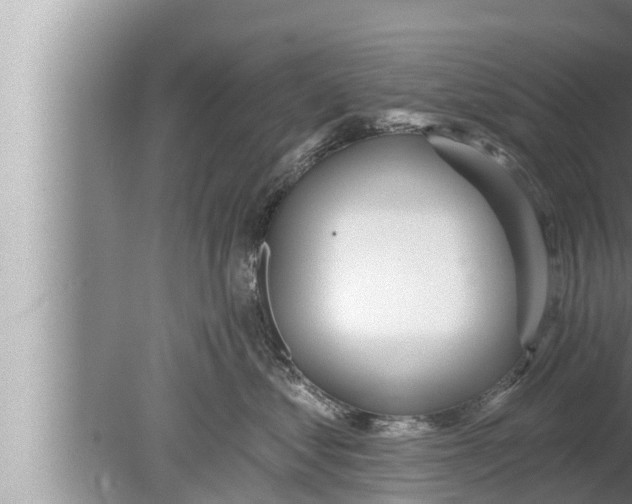 X0000080150621200612302129