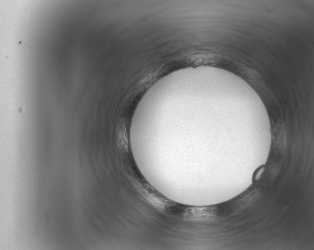 X0000080150622200612302129