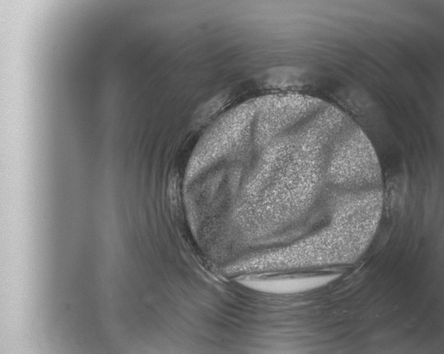 X0000080150623200612302129