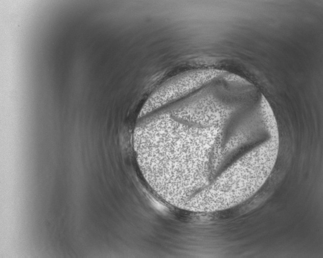 X0000080150624200612302129