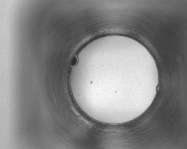 X0000080150625200612302128