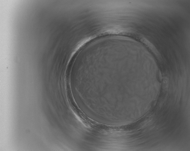 X0000080150626200612302128