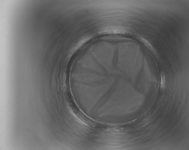 X0000080150627200612302128