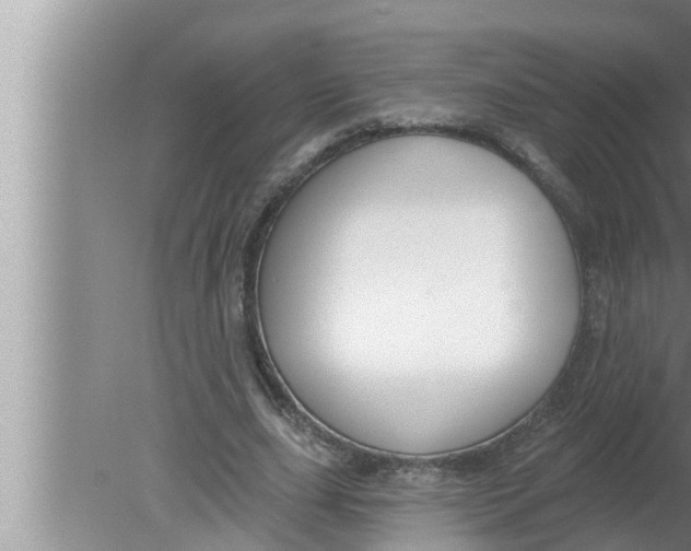 X0000080150631200612302128