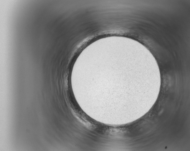 X0000080150632200612302128