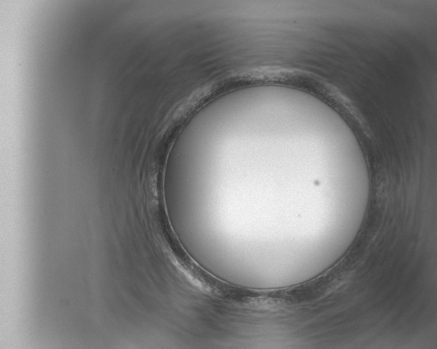 X0000080150633200612302128