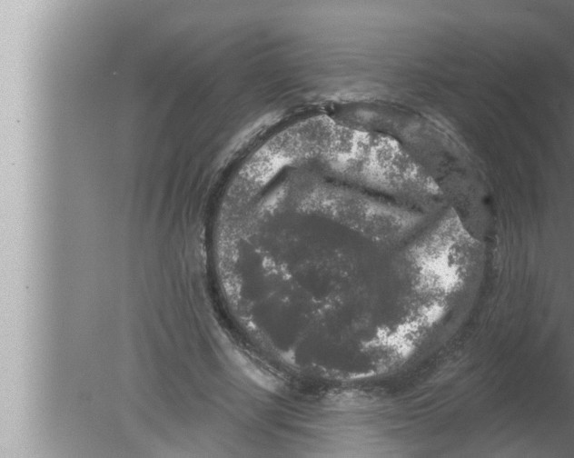 X0000080150634200612302128