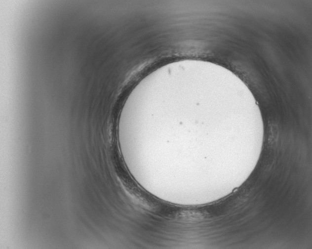 X0000080150636200612302128