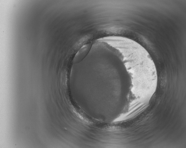 X0000080150637200612302128