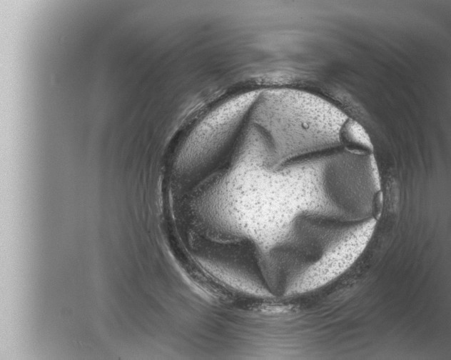 X0000080150638200612302128