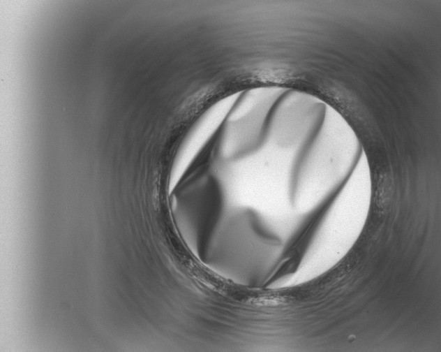 X0000080150639200612302128