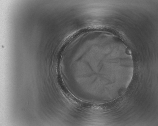 X0000080150640200612302129