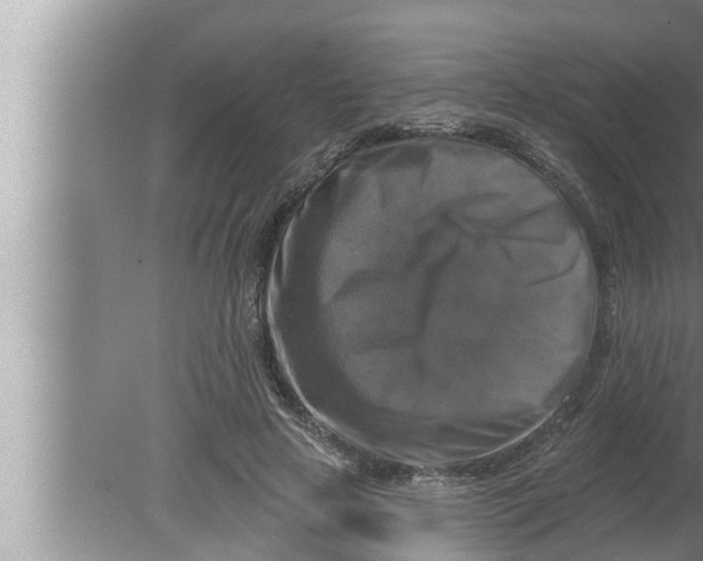 X0000080150641200612302129