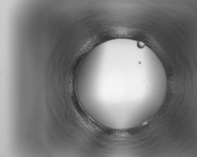 X0000080150642200612302129