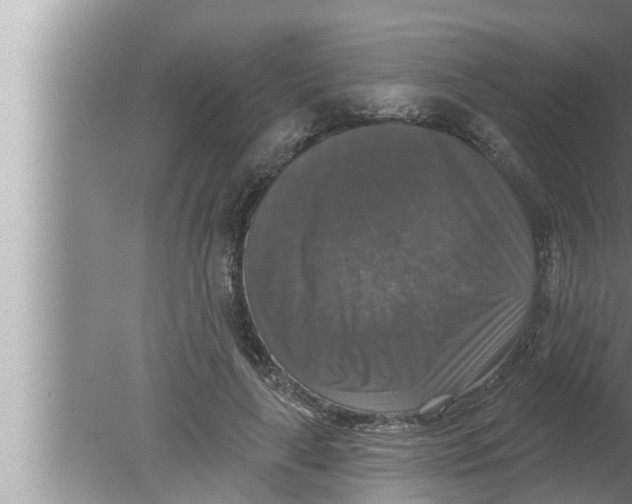 X0000080150643200612302129