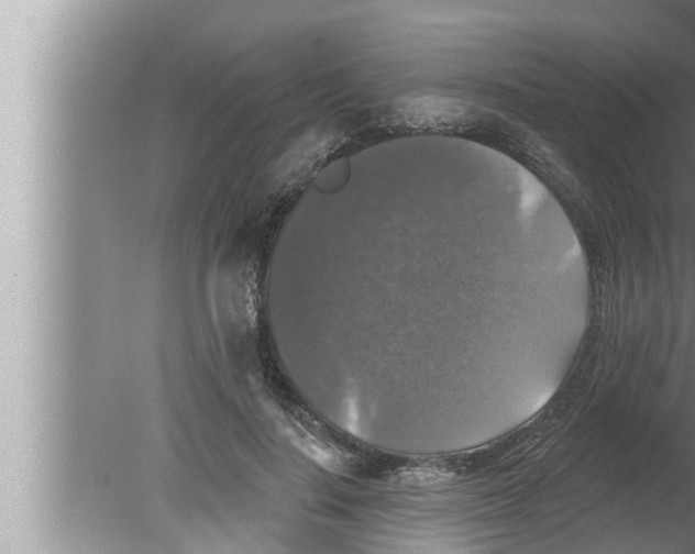 X0000080150644200612302129