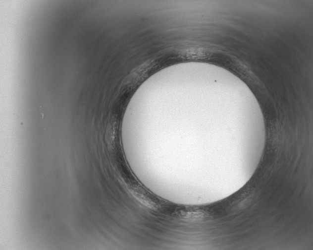 X0000080150645200612302129