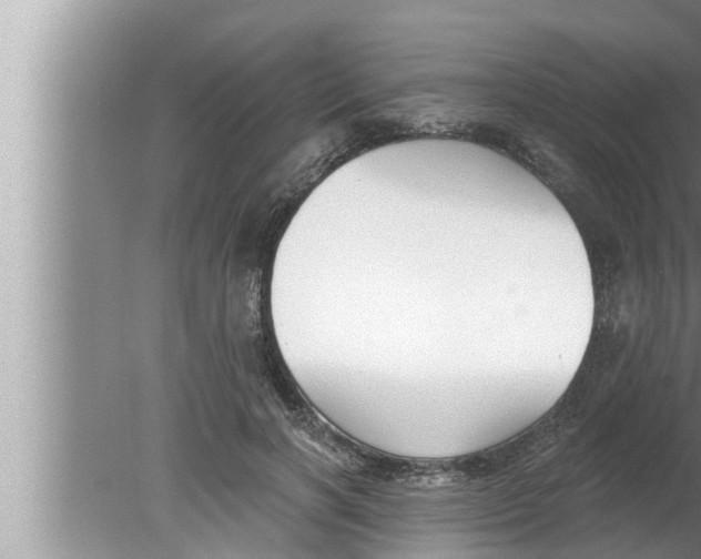 X0000080150646200612302129