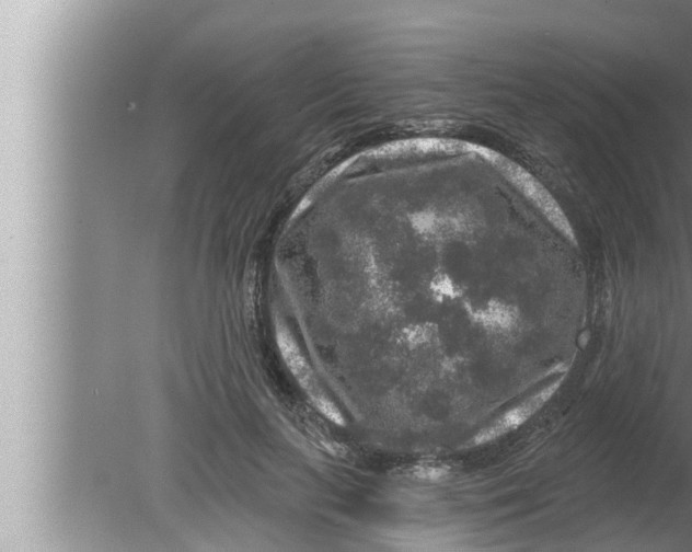 X0000080150647200612302129