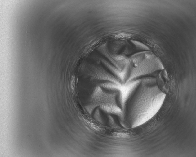 X0000080150649200612302129