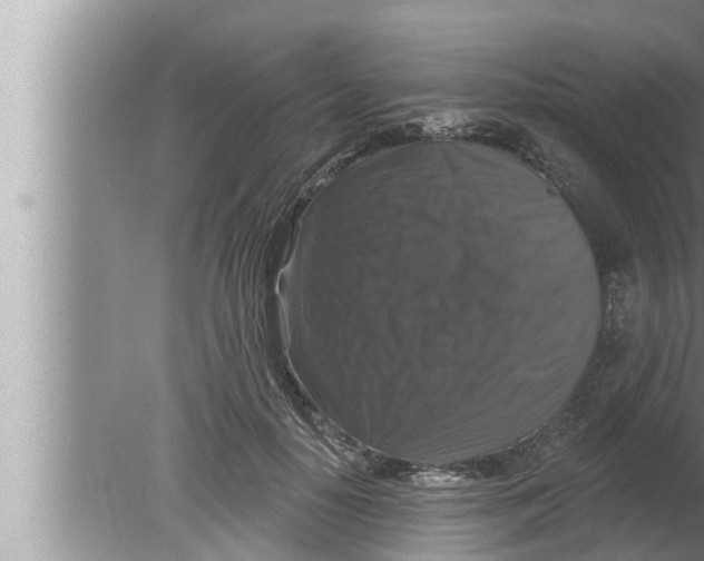 X0000080150650200612302129