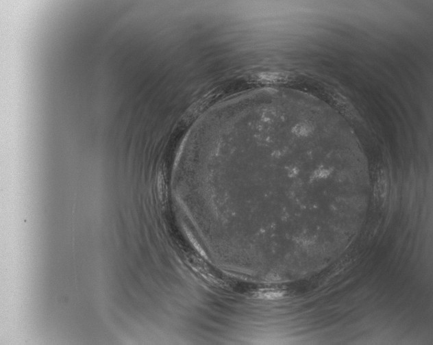 X0000080150651200612302129