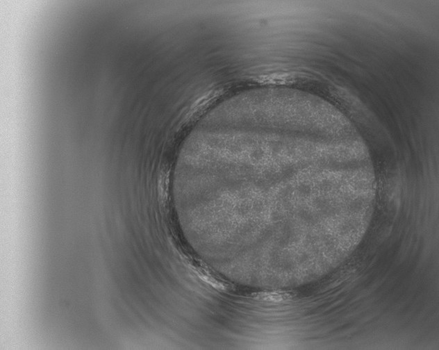 X0000080150652200612302129