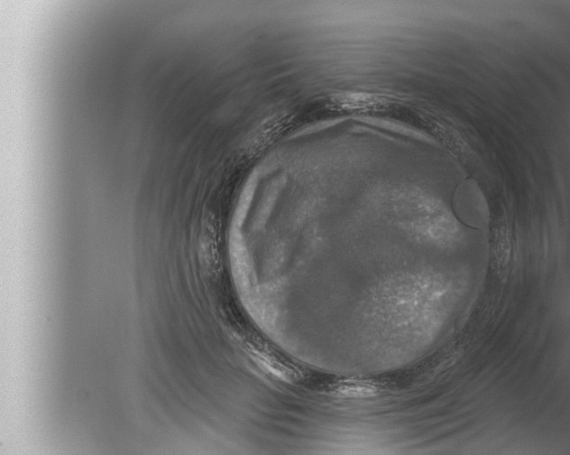 X0000080150653200612302129