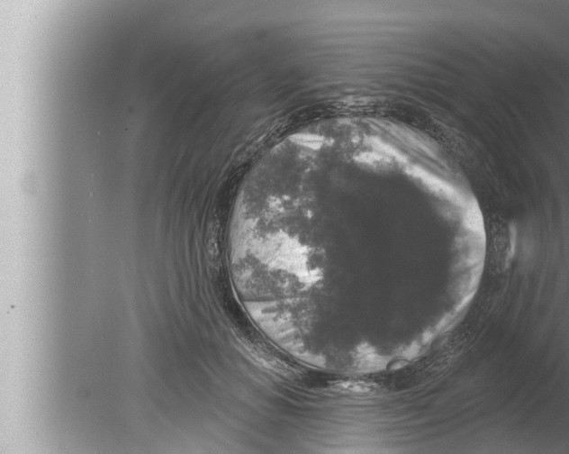 X0000080150654200612302129