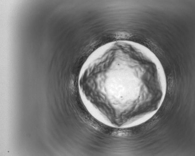 X0000080150655200612302129