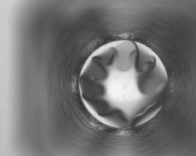 X0000080150656200612302129