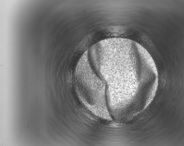 X0000080150657200612302129