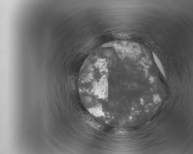 X0000080150658200612302129