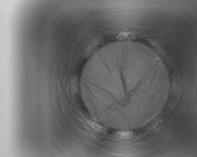 X0000080150659200612302129