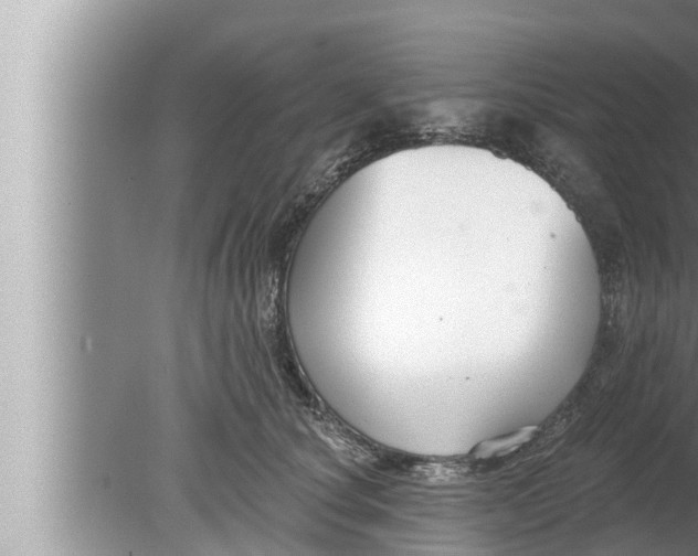 X0000080150660200612302129