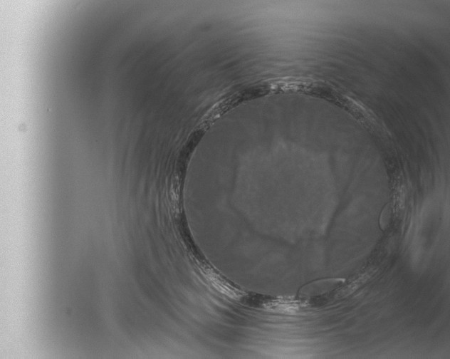 X0000080150661200612302129