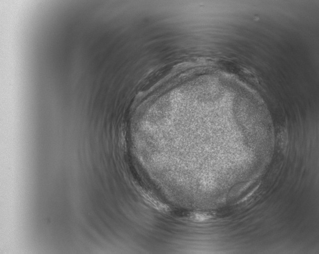 X0000080150662200612302129