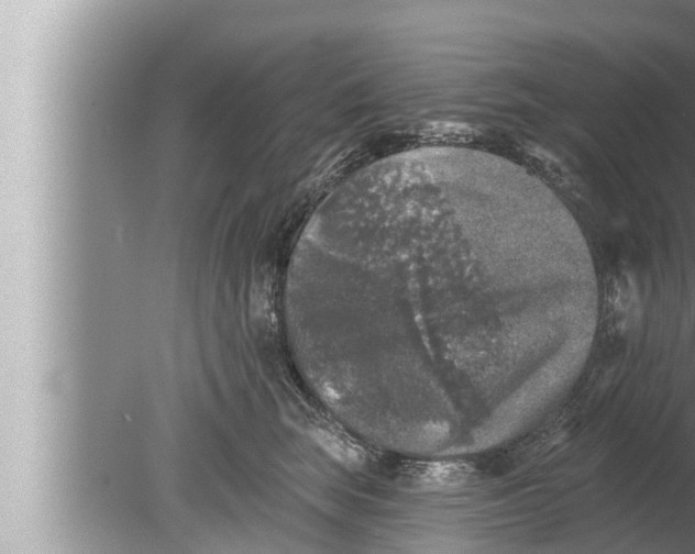 X0000080150663200612302129