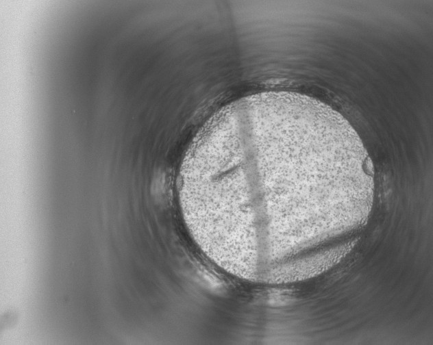 X0000080150664200612302129