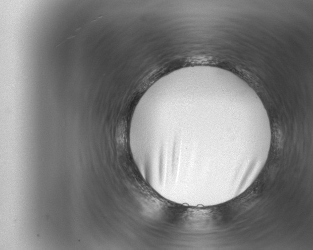 X0000080150665200612302129