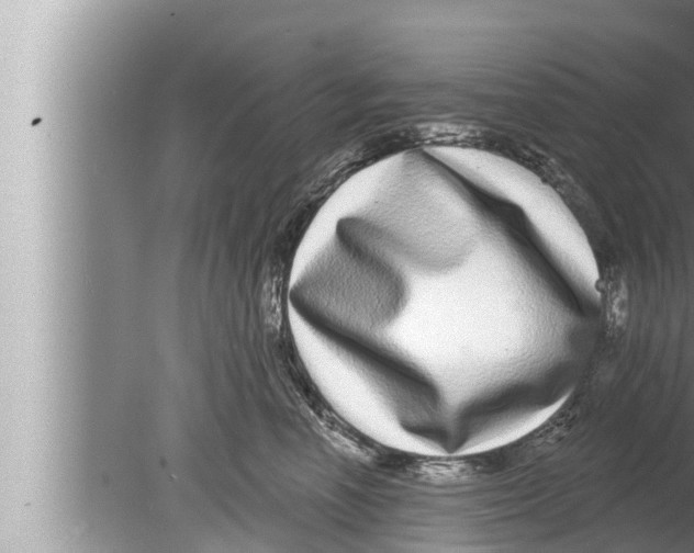 X0000080150666200612302129