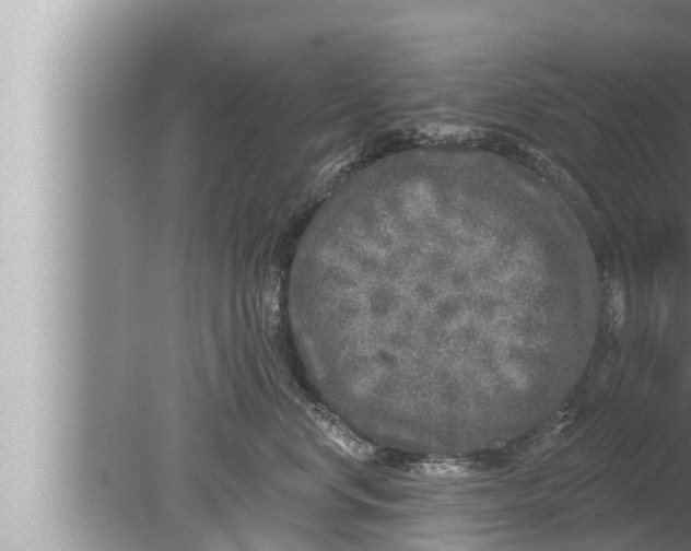 X0000080150668200612302129