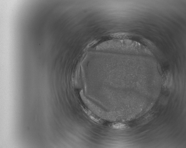 X0000080150669200612302129