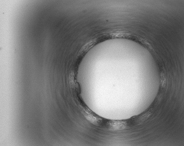 X0000080150670200612302129