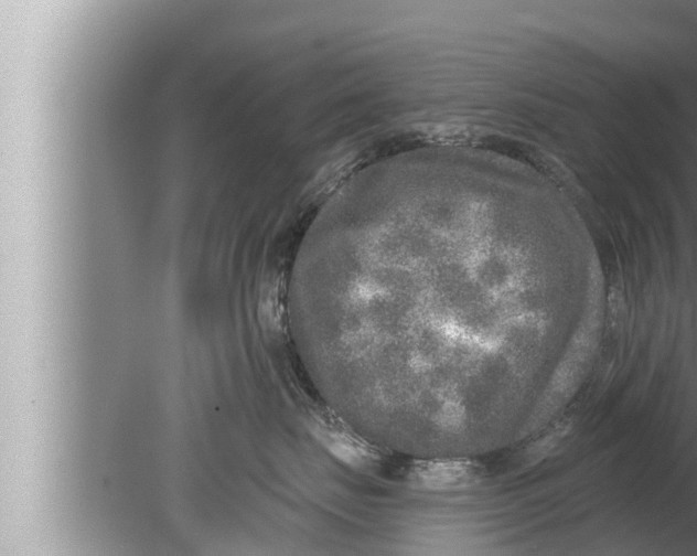 X0000080150671200612302129