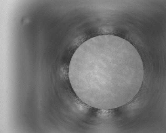 X0000080150672200612302129