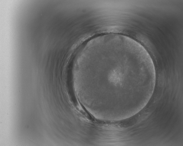 X0000080150673200612302128