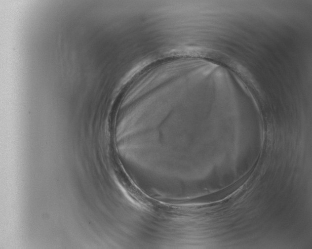 X0000080150674200612302128