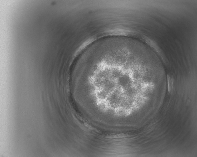 X0000080150675200612302128