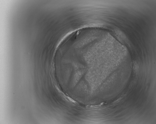 X0000080150676200612302128